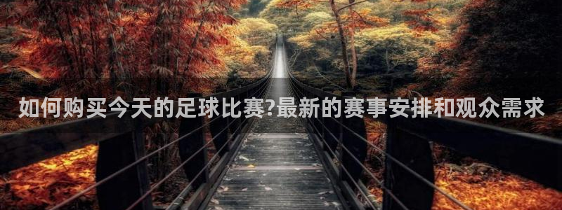 如何购买今天的足球比赛?最新的赛事安排和观众需求