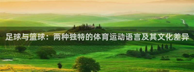 足球与篮球：两种独特的体育运动语言及其文化差异