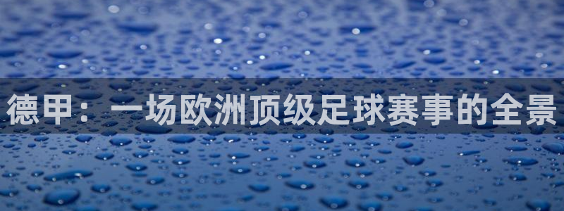德甲：一场欧洲顶级足球赛事的全景