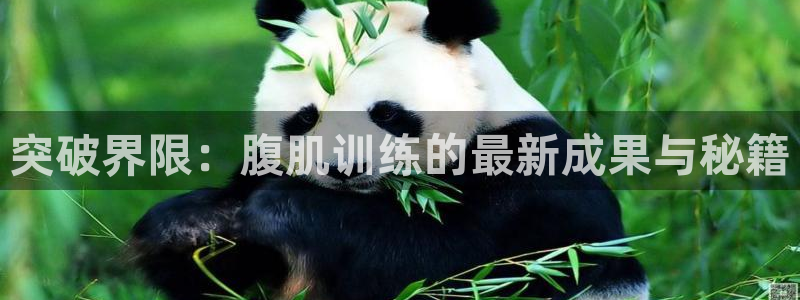 突破界限：腹肌训练的最新成果与秘籍