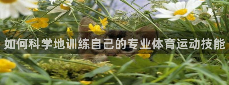 如何科学地训练自己的专业体育运动技能