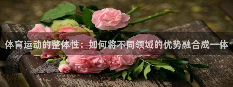 体育运动的整体性：如何将不同领域的优势融合成一体